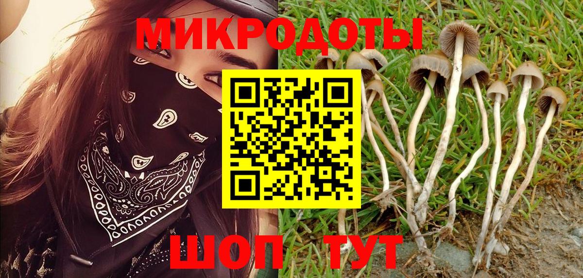 Псилоцибиновые грибы GOLDEN TEACHER  Вход с VPN  Тула 