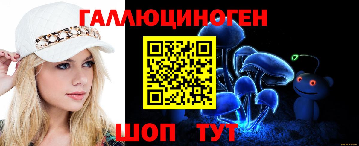 Псилоцибиновые грибы Psilocybe Тула